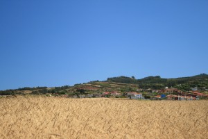 Cultivo de cereales, El Rosario