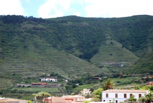 Valle de Tegueste, Tegueste